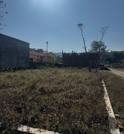 WhatsApp Image 2026-02-07 at 12.39.43 AM (1)