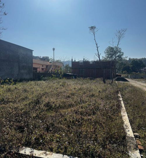 WhatsApp Image 2026-02-07 at 12.39.43 AM