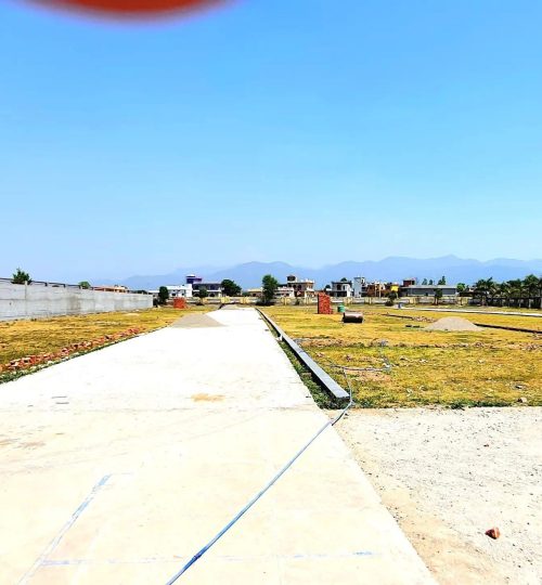 WhatsApp Image 2026-02-07 at 12.39.44 AM