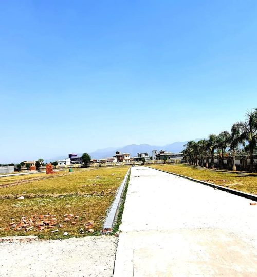 WhatsApp Image 2026-02-07 at 12.39.45 AM (1)