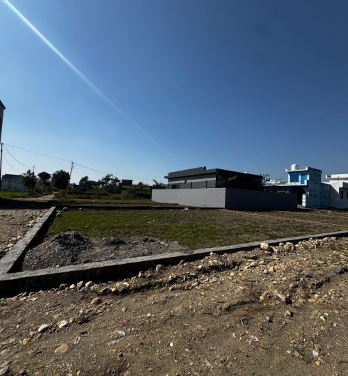 WhatsApp Image 2026-02-07 at 12.39.46 AM (1)