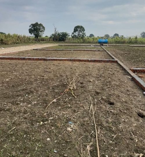 WhatsApp Image 2026-02-07 at 12.39.46 AM (2)