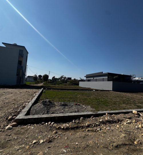 WhatsApp Image 2026-02-07 at 12.39.46 AM