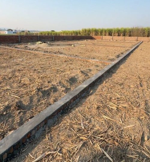 WhatsApp Image 2026-02-07 at 12.39.47 AM